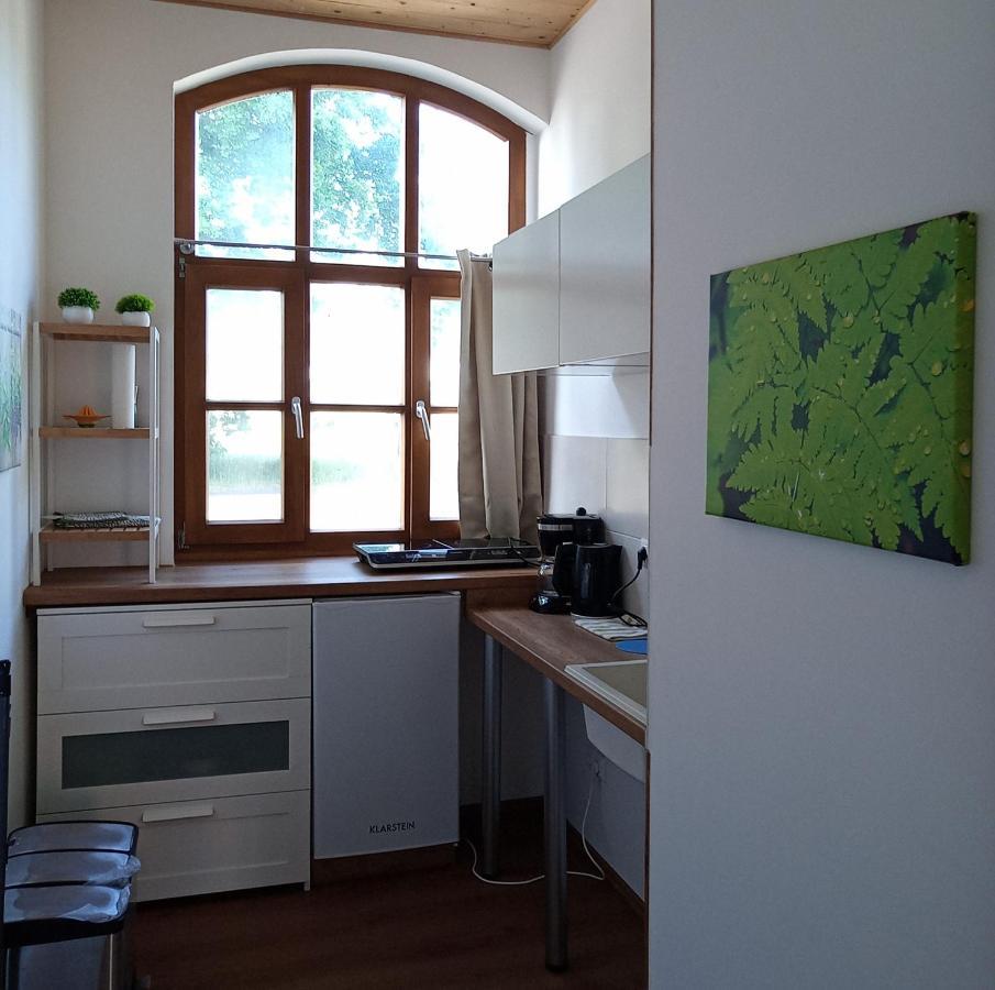 Gutshof Kehnert - Pension & Ferienwohnungen Buitenkant foto