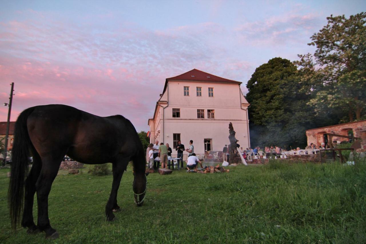 Gutshof Kehnert - Pension & Ferienwohnungen Buitenkant foto