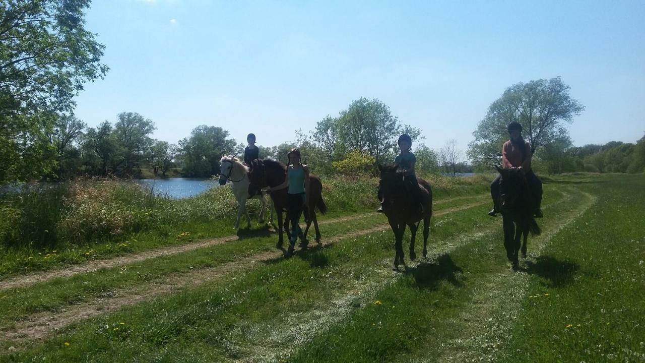 Gutshof Kehnert - Pension & Ferienwohnungen Buitenkant foto