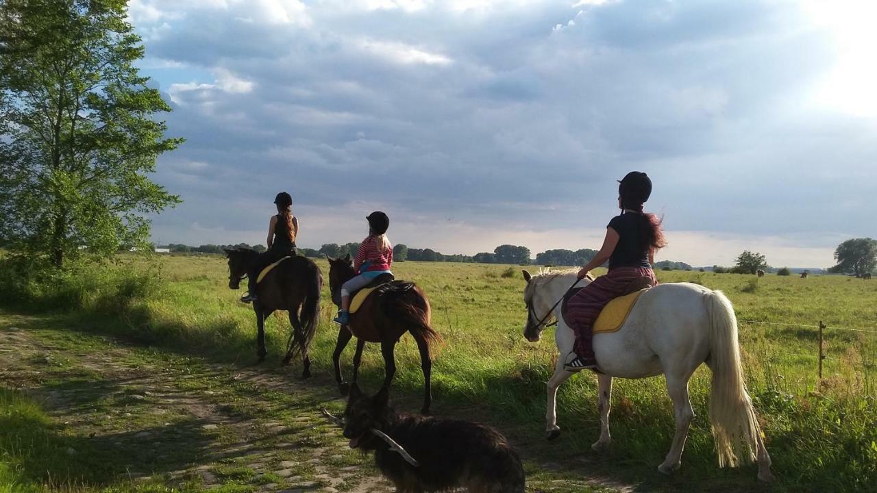 Gutshof Kehnert - Pension & Ferienwohnungen Buitenkant foto