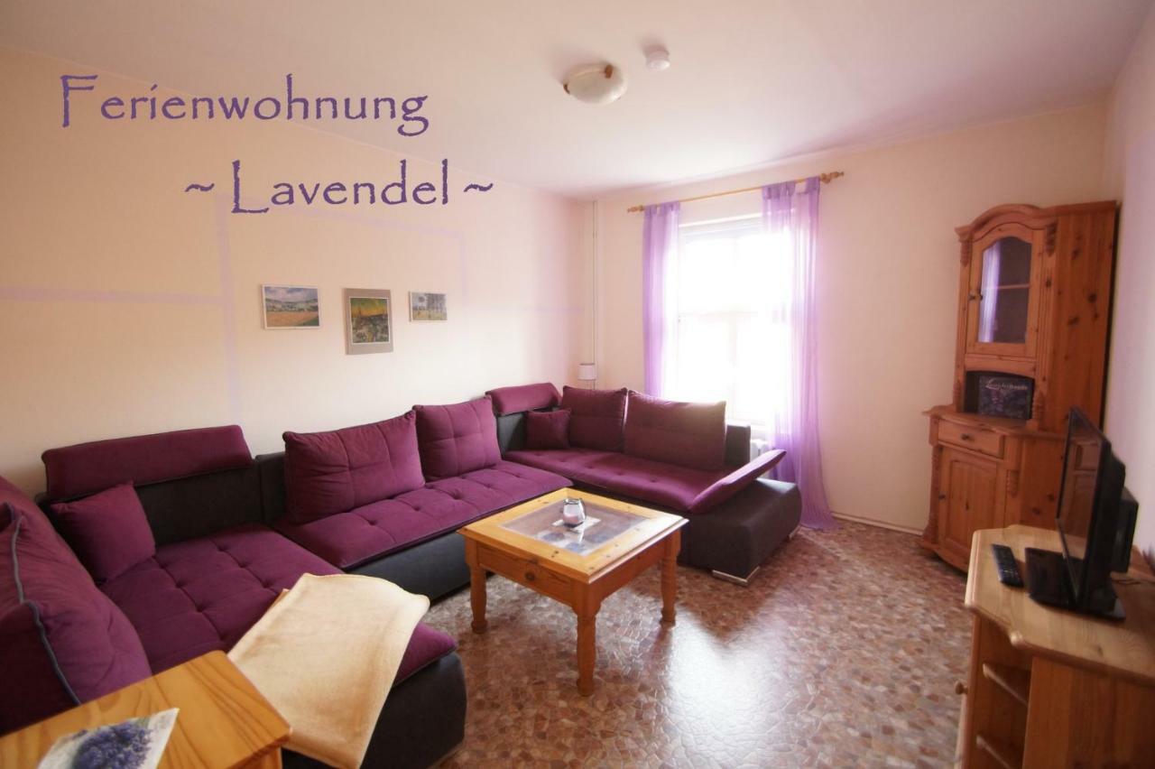 Gutshof Kehnert - Pension & Ferienwohnungen Buitenkant foto